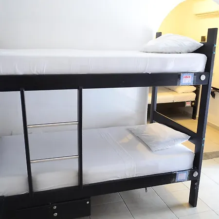 Volunteer By Fem Hostal *
