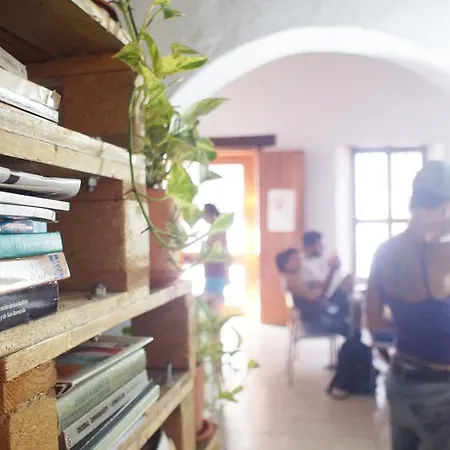 Volunteer By Fem Cartagena
