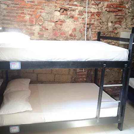 Volunteer By Fem Hostal *